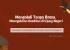 PAPUA Oleh : Sutris, S.H., M.H